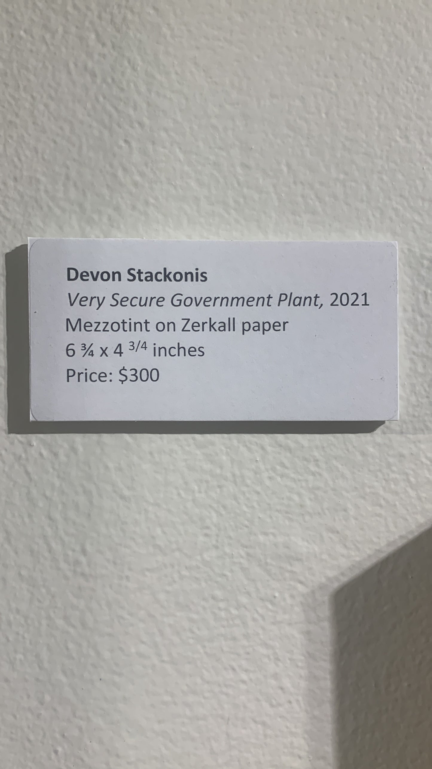 DEVON STACKONIS, Very Secure Government Plant, 2021