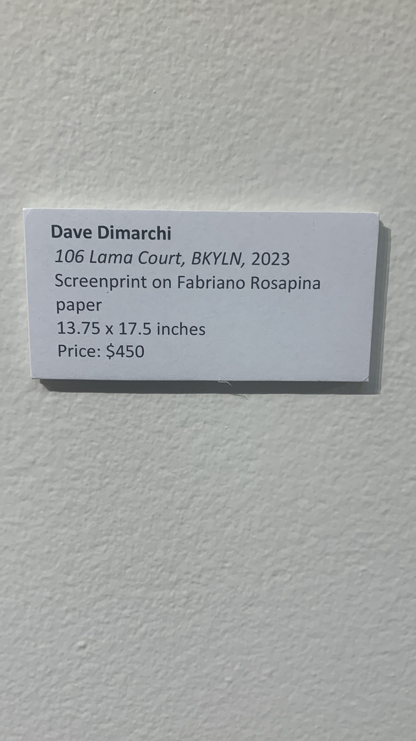 DAVE DIMARCHI, 106 Lama Court, BKYLN, 2023