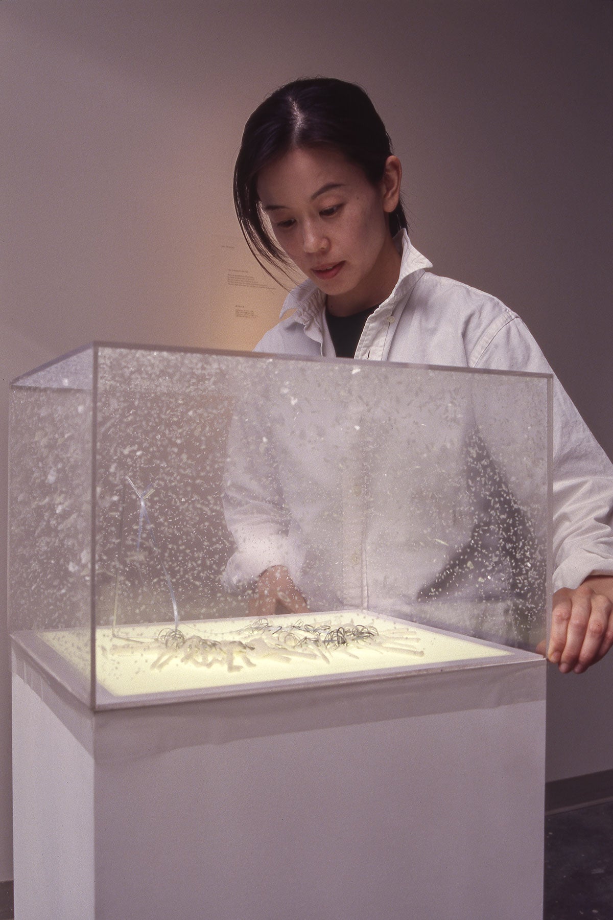 Mitchell Kearney - AIKO MIYANAGA