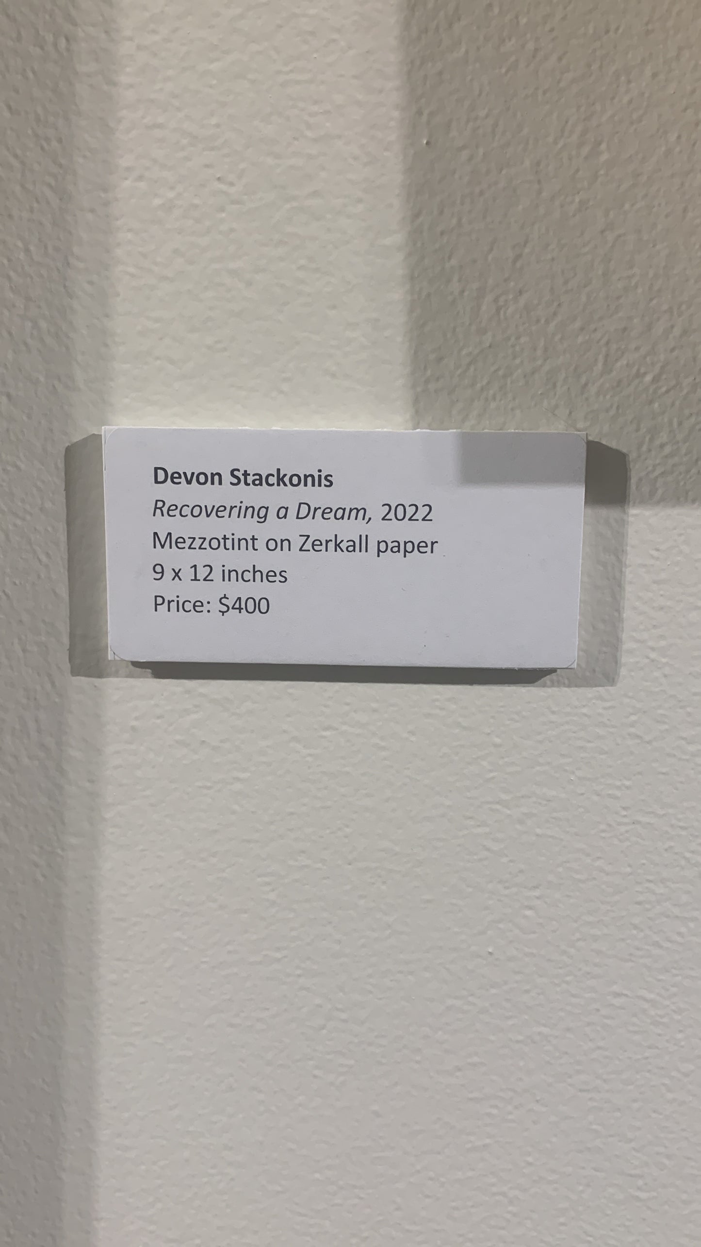DEVON STACKONIS, Recovering a Dream, 2022