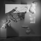 Joy Davis | joyproject - "Ontogeny of a Mother: on becoming a vessel"