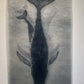 ARIADNA ABADAL LLORET, Little Whale/Migration, 2020